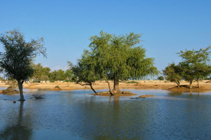 مسیر رفتن به روستای باغو کیش