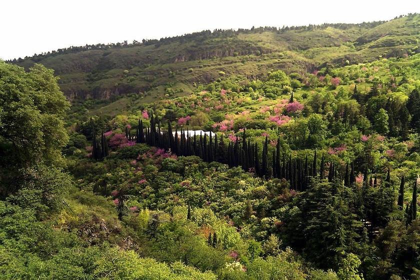 دریاچه لیسی تفلیس