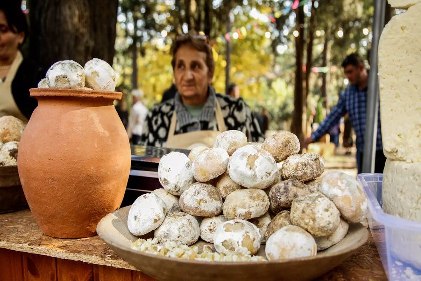 جشنواره پنیر تفلیس
